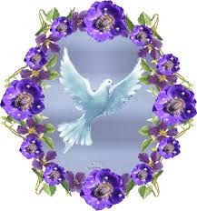 2a lect de la carta del Apóstol San Pablo a los Romanos 8,26-27. Domingo 20 de Julio de 2014.