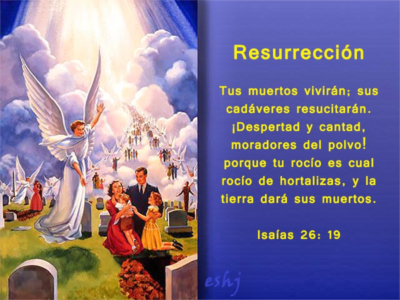 Del libro del Profeta Isaías 26,7-9.12.16-19. Jueves 17 de Julio dde 2014.