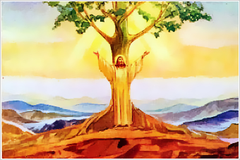 Evangelio San Mateo 13,31-35. Lunes 28 de Julio de 2014.