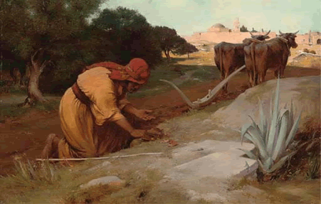 Evangelio San Mateo 13,44-52. Domingo 27 de Julio de 2014.