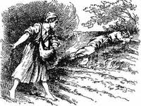 Evangelio San Mateo 13,24-43. Domingo 20 de Julio de 2014.