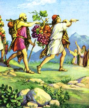 Del libro del Profeta Jeremías 2,1-3.7-8.12-13. Jueves 24 de Julio de 2014.