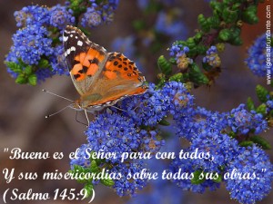 Salmo 144 (145). Domingo 6 de Julio de 2014.