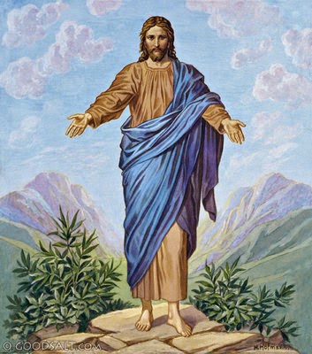 Evangelio San Mateo 11,28-30. Jueves 17 de Julio de 2014.