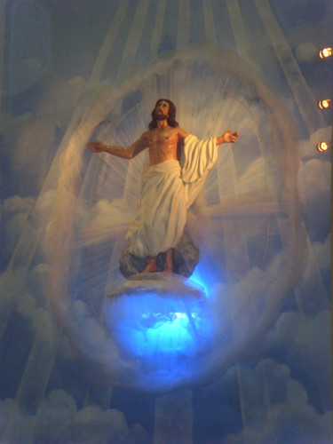 2a lect de la carta del Apóstol San Pablo a los Romanos 8,35.37-39. Domingo 3 de Agosto de 2014.