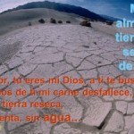 Salmo 62 (63). Domingo 31 de Agosto de 2014.