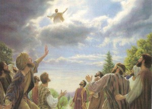 De la 1a carta del Apóstol San Pablo a los Corintios 2,10-16. Martes 2 de Septiembre de 2014.