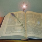 Lectios 28 y 29: Luz entre sombras y el nuevo testamento.