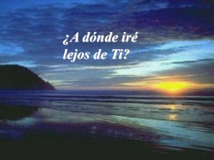 Salmo 138 (139). Viernes 3 de Octubre de 2014.