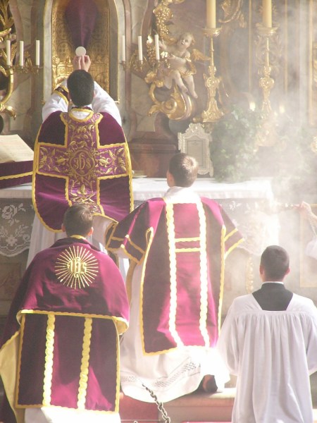 Acto de Reparación     XII. Reparad por los sacerdotes que no obedecen al Papa, a sus superiores y obispos.