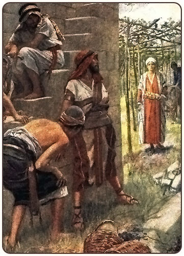 Evangelio San Mateo 21, 33-43. Domingo 5 de Octubre de 2014.