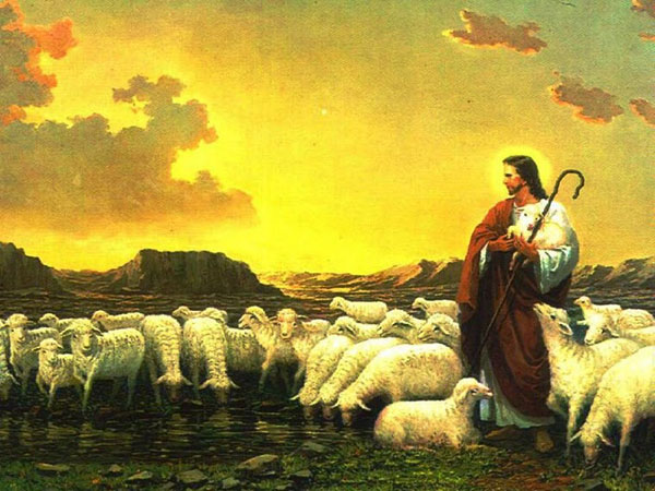 Salmo 22 (23). Miércoles 12 de Noviembre de 2014.