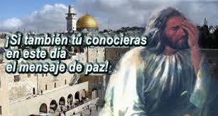 Evangelio San Lucas 19,41-44. Jueves 20 de Noviembre de 2014.