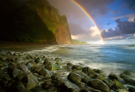 Salmo 95 (96). Martes 25 de Noviembre de 2014.