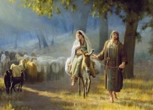 Del libro del Profeta Isaías 41,13-20. Jueves 11 de Diciembre de 2014.