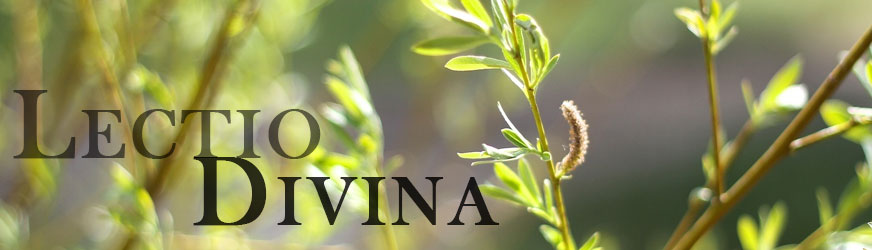 Lectios 36, 37 y 38: Cristo exegeta y María como icono.