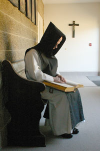 Lectios 34 y 35: Historia de un corazón. Pedro Peredo