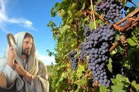 Evangelio San Marcos 4,26-34. Viernes 30 de Enero de 2015.