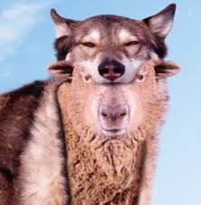 Lecturas del 2 de Enero 2015 Celebración eucarística