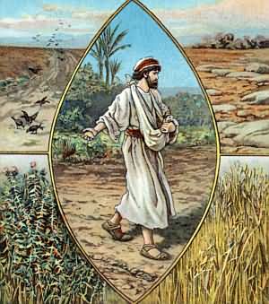 Evangelio San Marcos 4,1-20. Miércoles 28 de Enero de 2015.