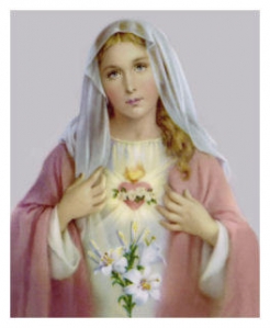 Consagración al Inmaculado Corazón de María de los 33. Día 10. Proseguid vuestro camino de cruz.