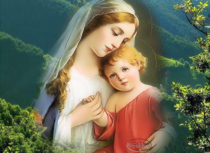 Consagración al Inmaculado Corazón de María de los 33 Día 15. Mi Inmaculado Corazón triunfará