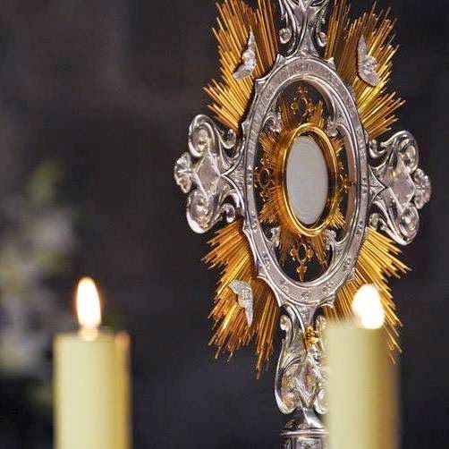Acto de Reparación al Corazón Eucarístico de Jesús   VI. Reparad por las almas que me han olvidado…