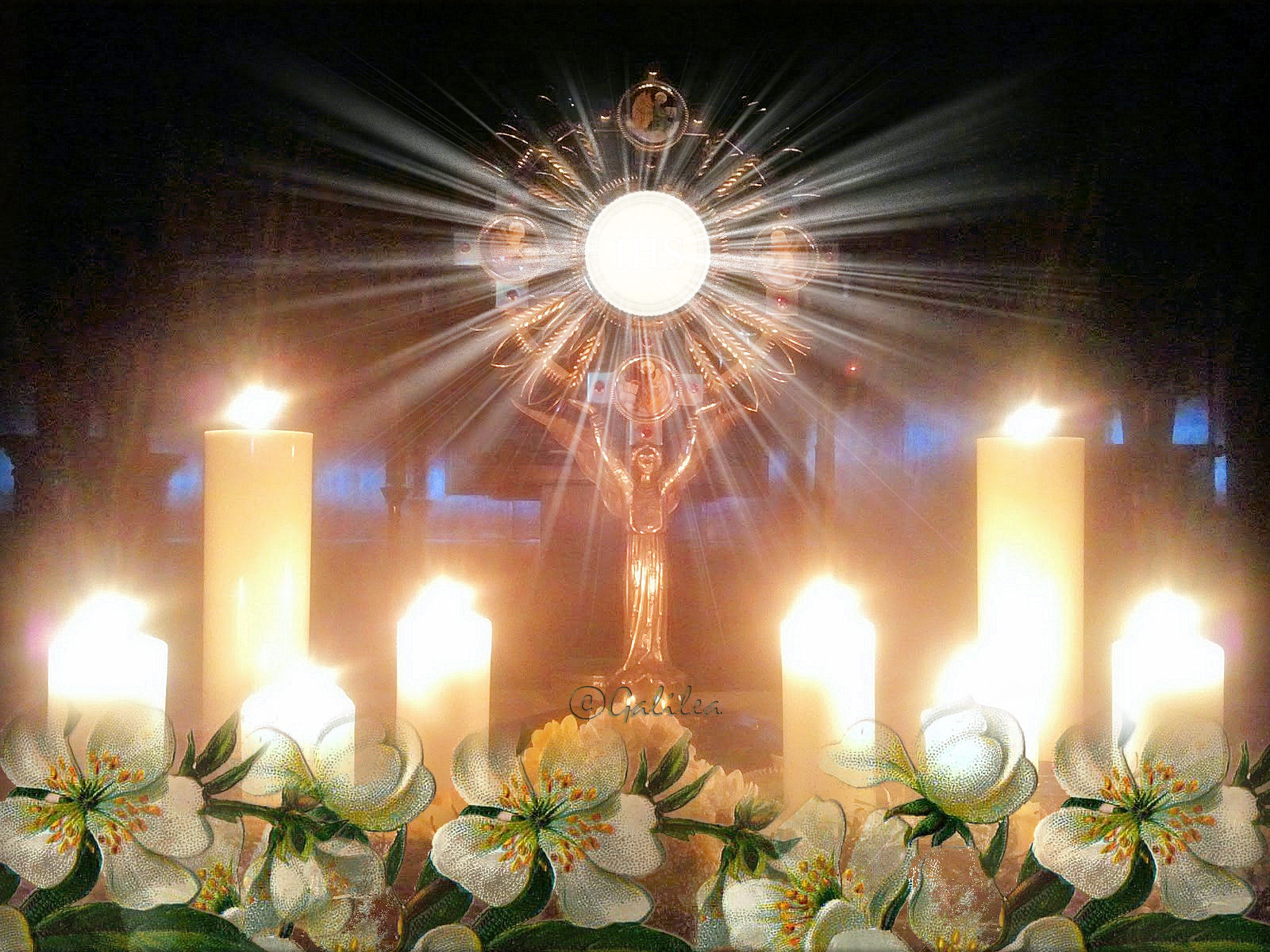 Meditación de las Horas Nocturnas XI. Reparad por las almas que no valoran el Sacramento del Matrimonio y la fidelidad conyugal.