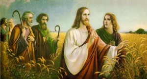 Evangelio San Mateo 12,1-8. Viernes 17 de Julio de 2015. MISA POR LA REMISIÓN DE LOS PECADOS.