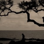 La reflexión del día: El viejo perro cazador.