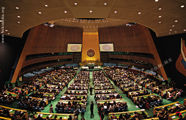 La ONU noble fin, hoy, una amenaza a la familia.