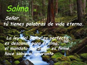 Salmo 18 (19),7-9.14. Domingo 24 de Enero de 2016.