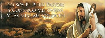 Evangelio San Juan 10,27-30. Domingo 17 de Abril de 2016. IV Domingo de Pascua.- Domingo del Buen Pastor.
