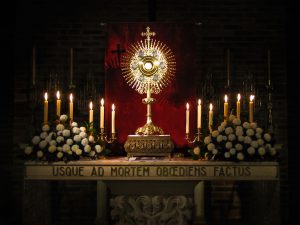La  Eucaristía, Santifica las pasiones