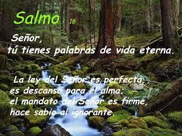 Salmo 18 (19), 8-10.15. Lunes 16 de Mayo de 2016.