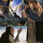 Evangelio San Mateo 18,12-14. Martes 6 de Diciembre de 2016.
