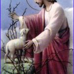 Evangelio San Juan 10,11-18. Lunes 8 de Mayo de 2017.