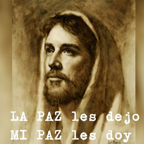 Evangelio San Juan 14,27-31. Martes 16 de Mayo de 2017.