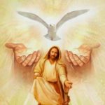 “Creo en el Espíritu santo Señor y dador de vida.”