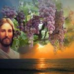 Evangelio San Juan 15,1-8. Miércoles 17 de Mayo de 2017.