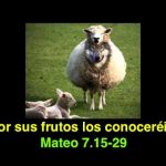 Evangelio San Mateo 7,15-20. Miércoles 28 de Junio de 2017.
