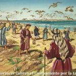 Salmo 77 (78), 18-19.23-28. Miércoles 26 de Julio de 2017. Santos Joaquín y Ana padres de la Virgen María.