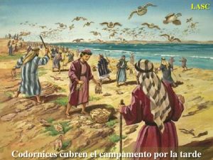 Salmo 77 (78), 18-19.23-28. Miércoles 26 de Julio de 2017. Santos Joaquín y Ana padres de la Virgen María.