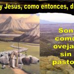 Son. como. ovejas. sin. pastor.