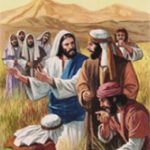 Evangelio San Mateo 12,1-8. Viernes 21 de Julio de 2017.