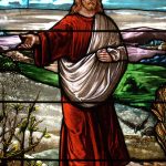 Evangelio San Mateo 13,1-23. Domingo 16 de Julio de 2017.