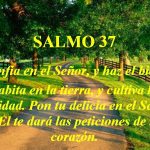 Salmo 36 (37), 3-4.18-19.27-28.39-40. Viernes 14 de Julio de 2017. Misa por la Remisión de los Pecados.
