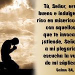 Salmo 85 (86), 5-6.9-10.15-16. Domingo 23 de Julio de 2017.