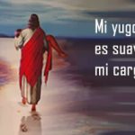 Evangelio San Mateo 11,25-30. Domingo 9 de Julio de 2017.