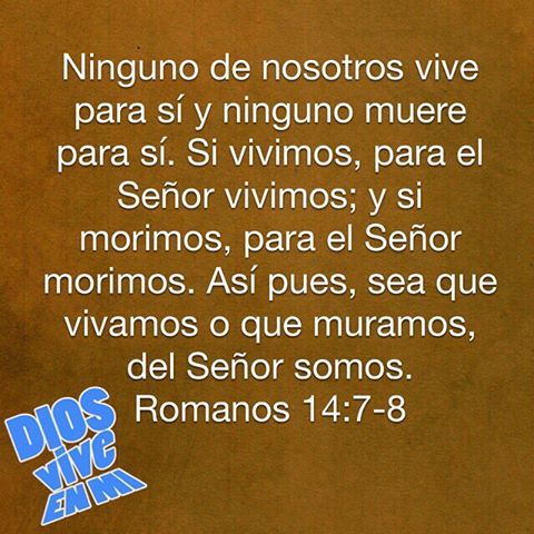2a lect de la carta del Apóstol San Pablo a los Romanos 14,7-9. Domingo 17 de Septiembre de 2017.